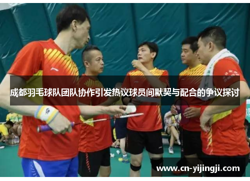 成都羽毛球队团队协作引发热议球员间默契与配合的争议探讨