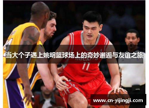 当大个子遇上姚明篮球场上的奇妙邂逅与友谊之旅